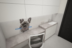 0012.-klinika-wteterynaryjna-beton-lacobel-pieski-kotki-bialy-szary