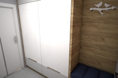 017. przedpokoj drewno bialy polysk hall wood white goloss