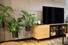 189.-salon-drewno-beton-rosliny-cegla-livingroom-concrete-wood-bricks-flower