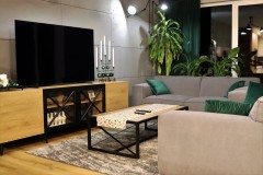 192.-salon-drewno-beton-rosliny-cegla-livingroom-concrete-wood-bricks-flower